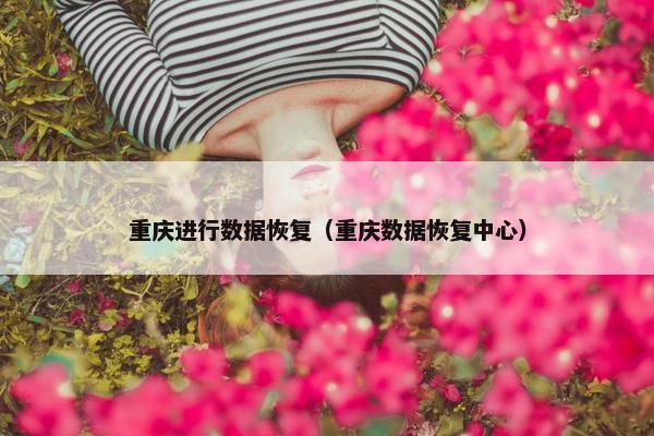 重庆进行数据恢复（重庆数据恢复中心）