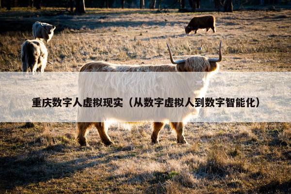 重庆数字人虚拟现实（从数字虚拟人到数字智能化）