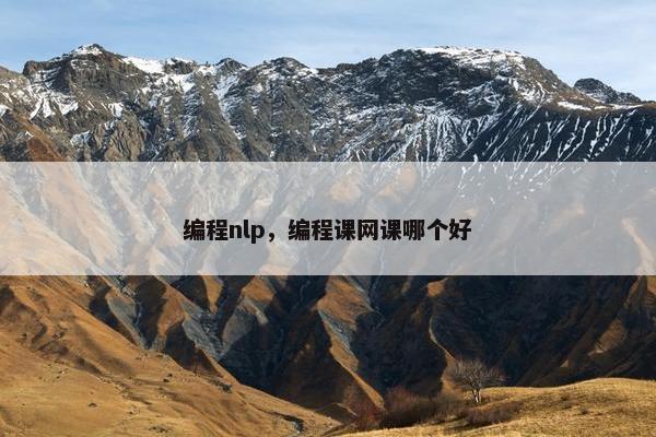 编程nlp，编程课网课哪个好
