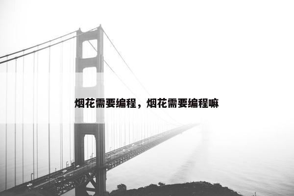 烟花需要编程，烟花需要编程嘛
