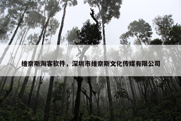 维奈斯淘客软件，深圳市维奈斯文化传媒有限公司