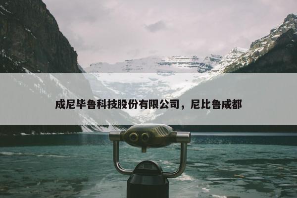 成尼毕鲁科技股份有限公司，尼比鲁成都