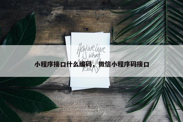 小程序接口什么编码，微信小程序码接口
