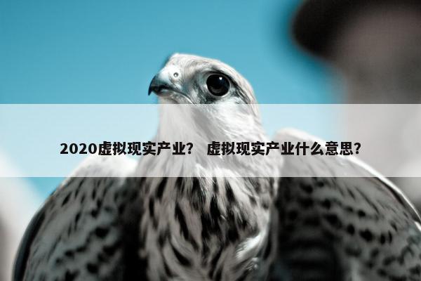 2020虚拟现实产业？ 虚拟现实产业什么意思？