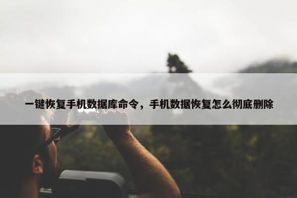 一键恢复手机数据库命令，手机数据恢复怎么彻底删除