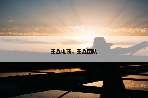 王鑫电商，王鑫团队
