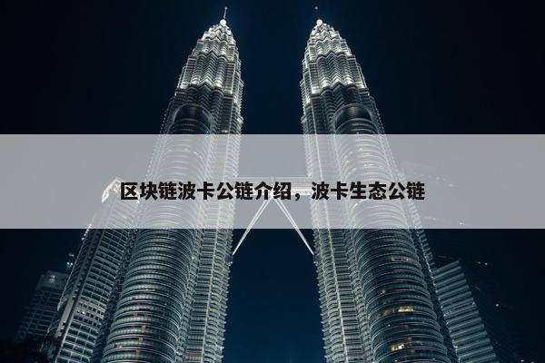 区块链波卡公链介绍，波卡生态公链