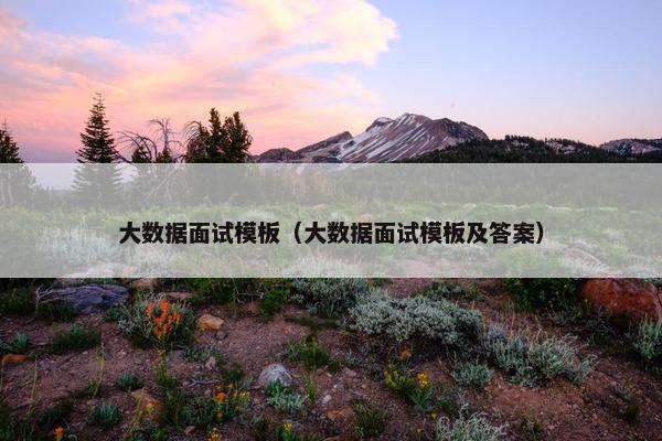 大数据面试模板（大数据面试模板及答案）