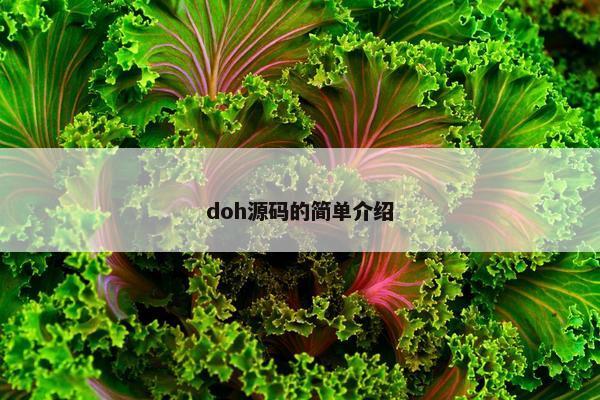 doh源码的简单介绍