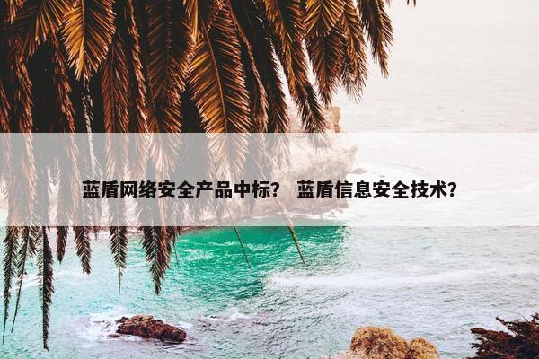蓝盾网络安全产品中标？ 蓝盾信息安全技术？