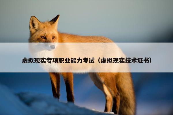 虚拟现实专项职业能力考试（虚拟现实技术证书）
