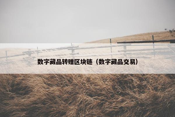 数字藏品转赠区块链（数字藏品交易）
