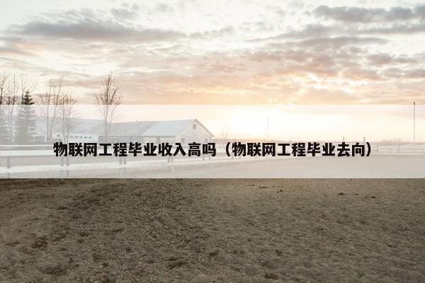 物联网工程毕业收入高吗（物联网工程毕业去向）