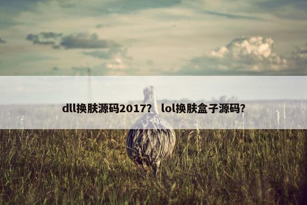 dll换肤源码2017？ lol换肤盒子源码？