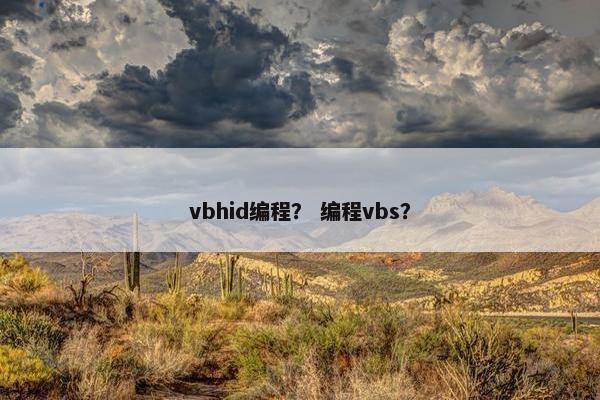 vbhid编程？ 编程vbs？