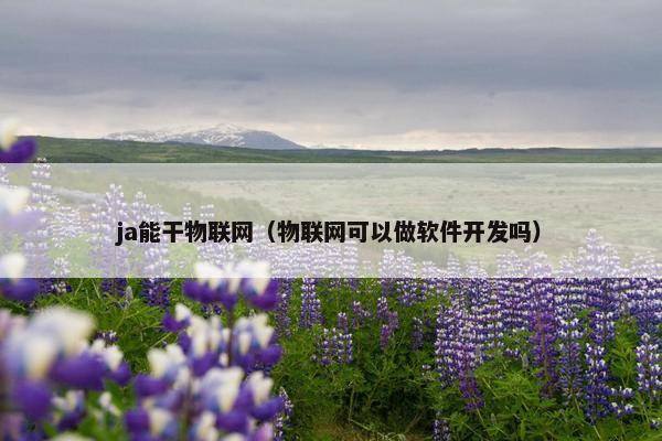 ja能干物联网（物联网可以做软件开发吗）