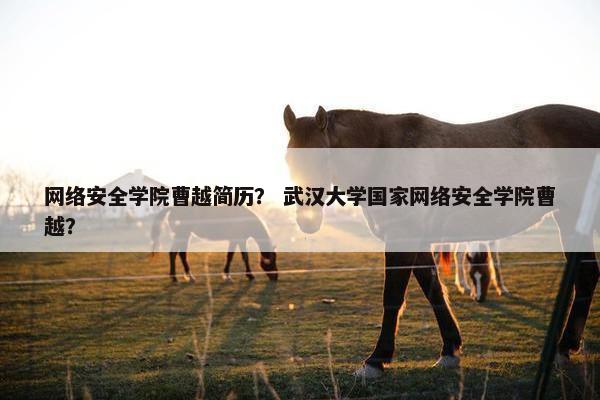 网络安全学院曹越简历？ 武汉大学国家网络安全学院曹越？