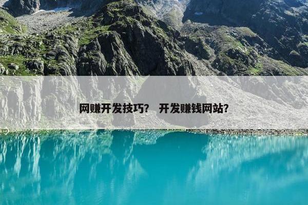 网赚开发技巧？ 开发赚钱网站？