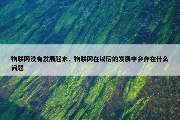 物联网没有发展起来，物联网在以后的发展中会存在什么问题