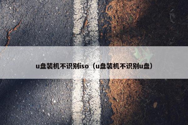 u盘装机不识别iso（u盘装机不识别u盘）
