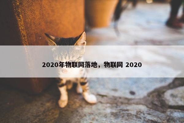 2020年物联网落地，物联网 2020