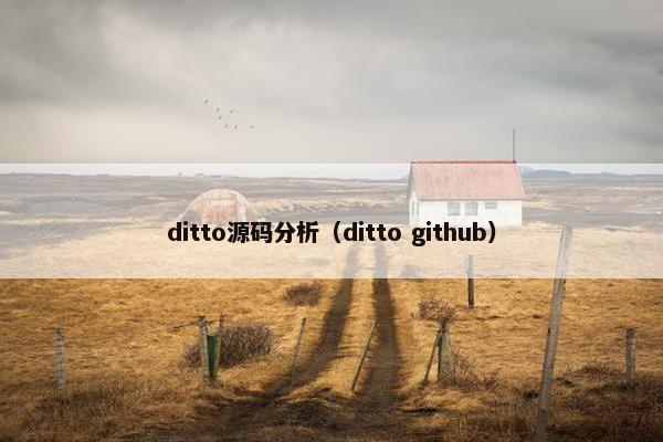 ditto源码分析（ditto github）