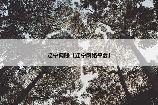 辽宁网赚（辽宁网络平台）