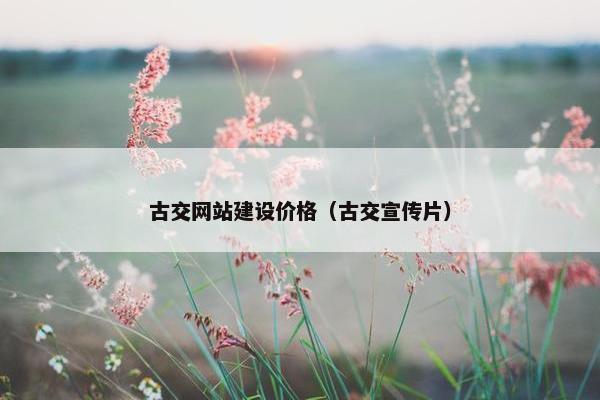 古交网站建设价格（古交宣传片）