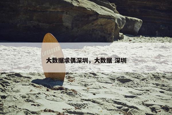 大数据求偶深圳，大数据 深圳
