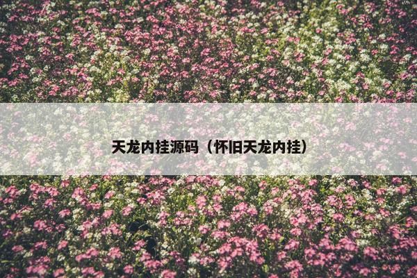 天龙内挂源码（怀旧天龙内挂）