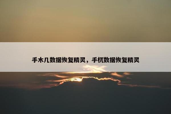 手木几数据恢复精灵，手杌数据恢复精灵
