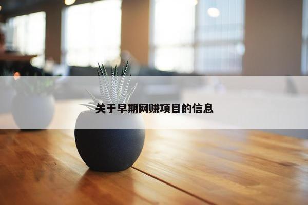 关于早期网赚项目的信息