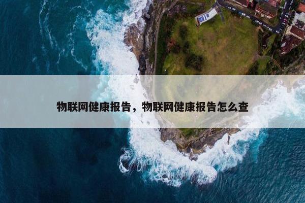物联网健康报告，物联网健康报告怎么查