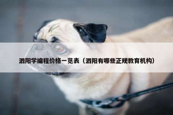 泗阳学编程价格一览表（泗阳有哪些正规教育机构）