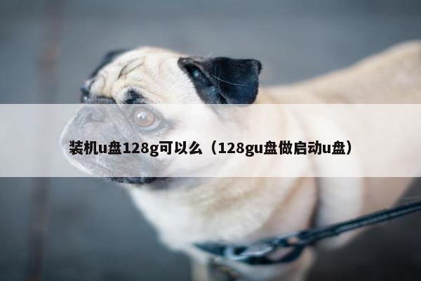 装机u盘128g可以么（128gu盘做启动u盘）
