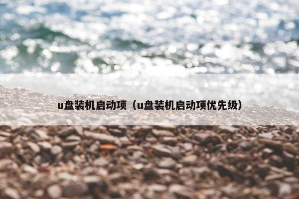 u盘装机启动项（u盘装机启动项优先级）