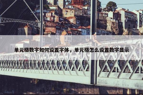单元格数字如何设置字体，单元格怎么设置数字显示