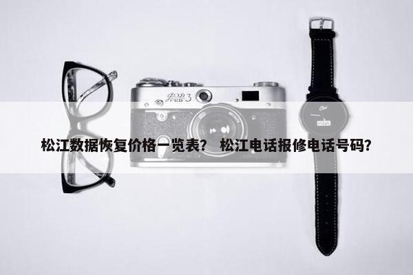 松江数据恢复价格一览表？ 松江电话报修电话号码？