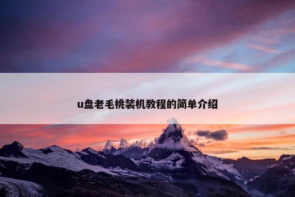 u盘老毛桃装机教程的简单介绍