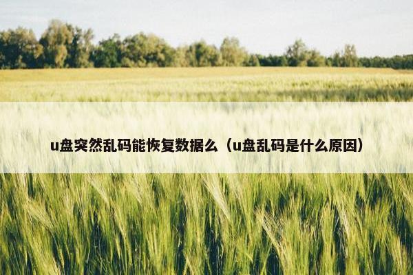 u盘突然乱码能恢复数据么（u盘乱码是什么原因）