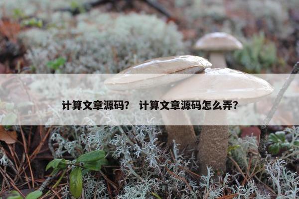 计算文章源码？ 计算文章源码怎么弄？