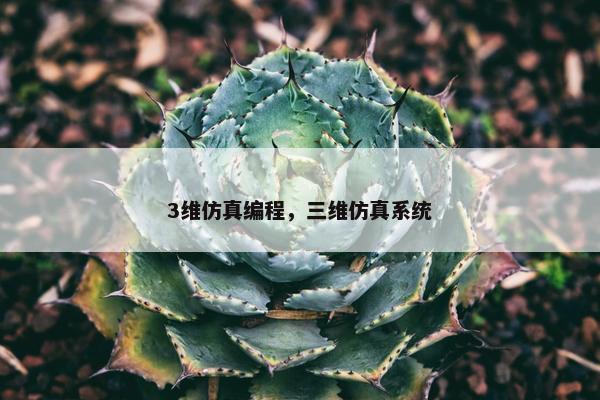 3维仿真编程，三维仿真系统