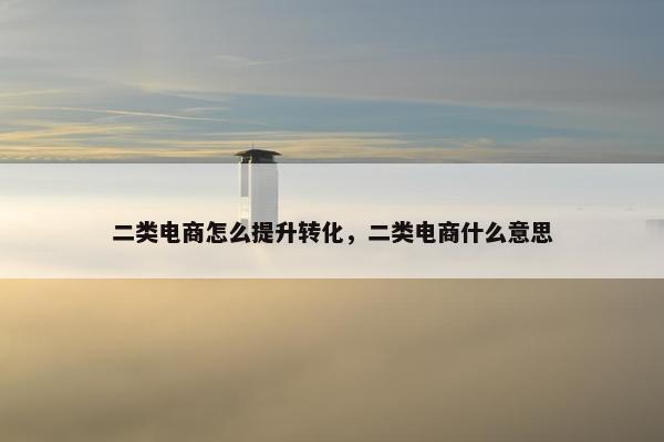 二类电商怎么提升转化，二类电商什么意思