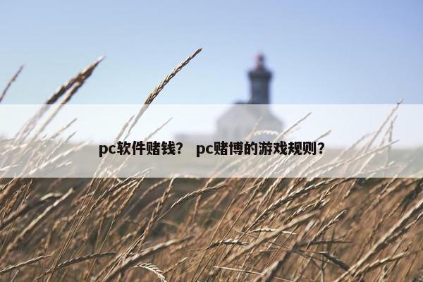 pc软件赌钱？ pc赌博的游戏规则？