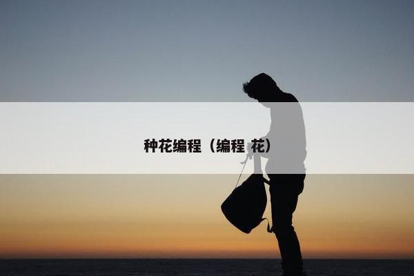 种花编程（编程 花）