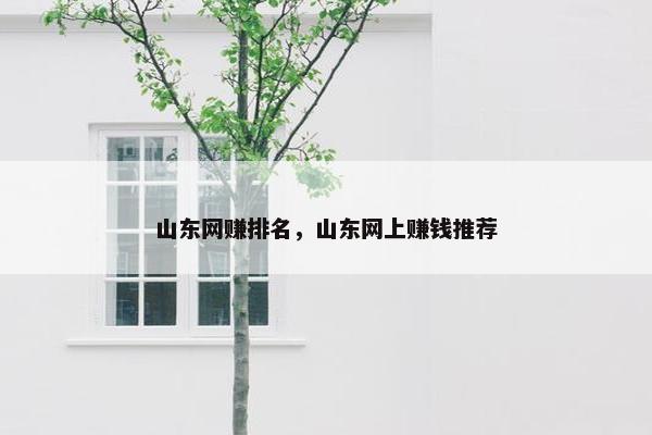 山东网赚排名，山东网上赚钱推荐