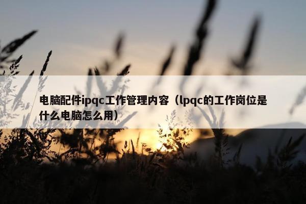 电脑配件ipqc工作管理内容（lpqc的工作岗位是什么电脑怎么用）