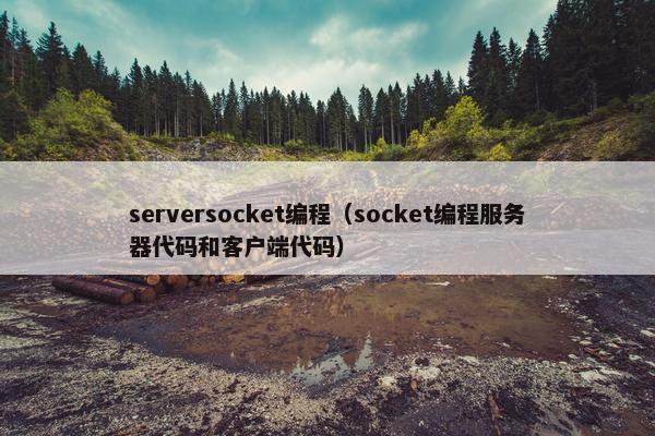 serversocket编程（socket编程服务器代码和客户端代码）