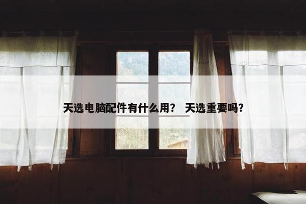 天选电脑配件有什么用？ 天选重要吗？