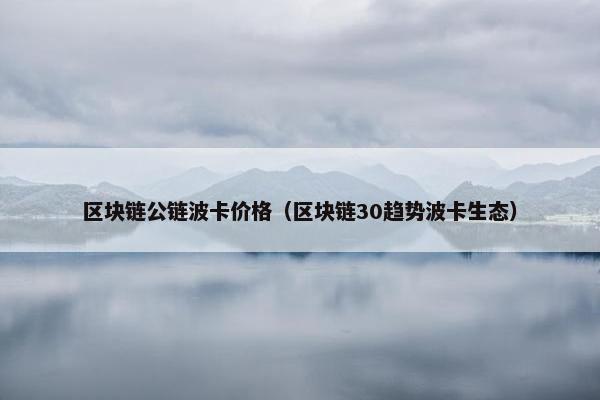 区块链公链波卡价格（区块链30趋势波卡生态）